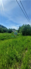 For sale:  shop - п. Novoklemovo (10469-093) | Dom2000.com #75606299