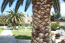 For sale:  home - Kassandra (4113-093) | Dom2000.com #24476197