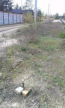 For sale:  land - Диамантовая улица, 48а str., Donetska oblast (9670-093) | Dom2000.com #67126527