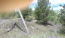 For sale:  land - Диамантовая улица, 48а str., Donetska oblast (9670-093) | Dom2000.com #67126529
