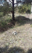 For sale:  land - Диамантовая улица, 48а str., Donetska oblast (9670-093) | Dom2000.com #67126533