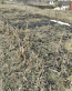 For sale:  land - Хинчанка str., Korolovskyi (10047-095) | Dom2000.com #70941070