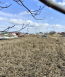 For sale:  land - Хинчанка str., Korolovskyi (10047-095) | Dom2000.com #70941073