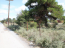 For sale:  land - Chalkidiki (4120-095) | Dom2000.com #24549256