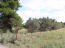 For sale:  land - Chalkidiki (4120-095) | Dom2000.com #24549257