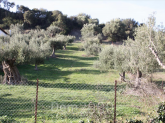 For sale:  land - Kassandra (4119-102) | Dom2000.com