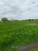 For sale:  land - Московская улица, 41 str., с. Vorontsovka (10636-103) | Dom2000.com