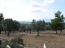 For sale:  land - Евія (4117-103) | Dom2000.com #24519248
