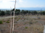 For sale:  land - Евія (4117-103) | Dom2000.com #24519249