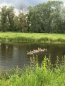 For sale:  home - Harkiv city (9970-103) | Dom2000.com #70081958