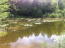 For sale:  land - СИНГУРЫ str., Korolovskyi (9771-105) | Dom2000.com #68051075