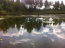 For sale:  land - СИНГУРЫ str., Korolovskyi (9771-105) | Dom2000.com #68051078
