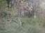 For sale:  land - Победы str., Bohunskyi (9771-107) | Dom2000.com #68051081
