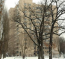 Продам трехкомнатную квартиру - ул. Янгеля Академика, Соломенский (10046-109) | Dom2000.com #70932421
