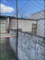 For sale:  home - Куриловка str., Kurilivka town (9798-109) | Dom2000.com #68324071