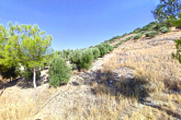 For sale:  land - Iraklion (crete) (7679-113) | Dom2000.com