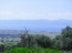 For sale:  land - Евія (4117-118) | Dom2000.com #24519358