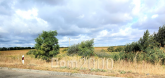 For sale:  land - ГЛУБОЧИЦА str., Bohunskyi (9771-118) | Dom2000.com