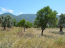 For sale:  land - Евія (4117-120) | Dom2000.com #24519369