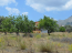 For sale:  land - Евія (4117-120) | Dom2000.com #24519372