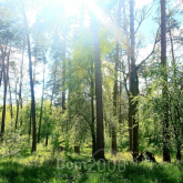 For sale:  land - Довжик / Локтєва вул., Bohunskyi (9771-123) | Dom2000.com