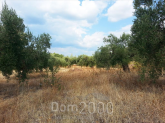 For sale:  land - Sithonia (4120-125) | Dom2000.com