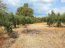 For sale:  land - Sithonia (4120-125) | Dom2000.com #24549625
