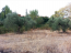For sale:  land - Sithonia (4120-125) | Dom2000.com #24549626