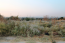 For sale:  land - Chalkidiki (7679-128) | Dom2000.com #51378358
