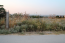 For sale:  land - Chalkidiki (7679-128) | Dom2000.com #51378359