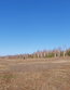For sale:  land - Irkutsk city (10254-131) | Dom2000.com #73226314