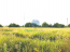 For sale:  shop - д. Grigorovo (10562-131) | Dom2000.com #76636604
