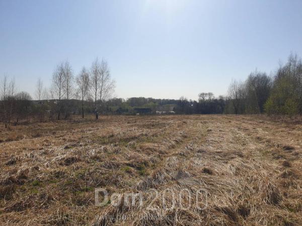 For sale:  land - д. Zaytsevo (10572-131) | Dom2000.com