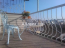 Lease 5-room apartment - Толстого (Бортничи), 19/1 str., Golosiyivskiy (9184-133) | Dom2000.com #62722667
