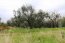 For sale:  land - Sithonia (4113-138) | Dom2000.com #24476708