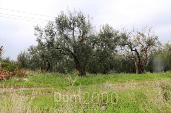 For sale:  land - Sithonia (4113-138) | Dom2000.com