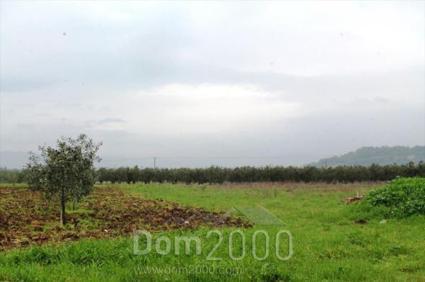 For sale:  land - Sithonia (4113-139) | Dom2000.com