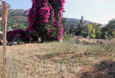For sale:  land - Iraklion (crete) (7679-140) | Dom2000.com