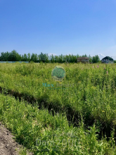 For sale:  land - Международный бульвар str., Russia (10199-141) | Dom2000.com