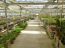 For sale:  shop - Pieria (4117-141) | Dom2000.com #24519555