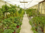 For sale:  shop - Pieria (4117-141) | Dom2000.com #24519559