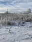 For sale:  land - д. Osinovaya Gora (10572-145) | Dom2000.com #76743625