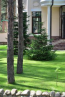 For sale:  home - Kozin town (7033-145) | Dom2000.com #69026033