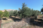 Продам земельну ділянку - Iraklion (crete) (7679-145) | Dom2000.com