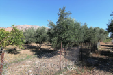 For sale:  land - Iraklion (crete) (7679-145) | Dom2000.com