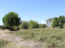 For sale:  land - Chalkidiki (4120-148) | Dom2000.com #24549877