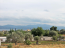 For sale:  home - Евія (4117-150) | Dom2000.com #24519663