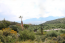 For sale:  land - Iraklion (crete) (6320-151) | Dom2000.com #41777903