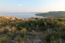 For sale:  land - Athos (4415-152) | Dom2000.com #26638025