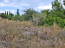 For sale:  land - Pelloponese (4112-154) | Dom2000.com #24466338